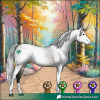 Horse Color:Gray Brown Dun Tobiano Rabicano 