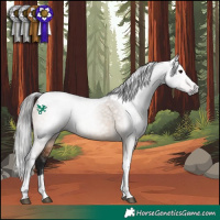 Horse Color:Gray Bay Dun Tobiano Rabicano 