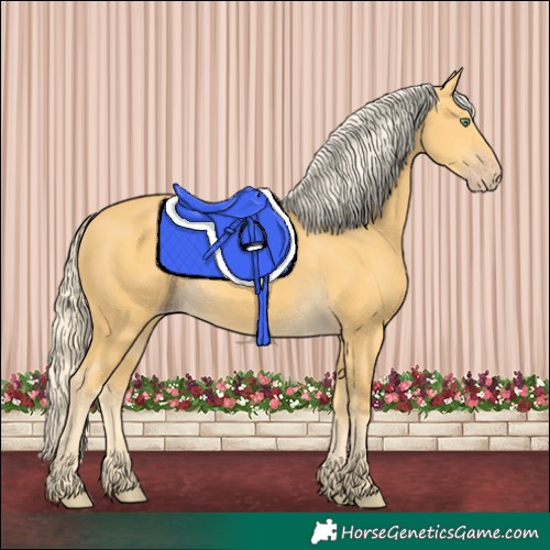 Horse Color:Gold Cream Champagne 