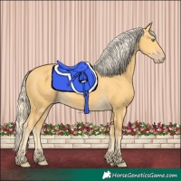 Horse Color:Gold Cream Champagne 