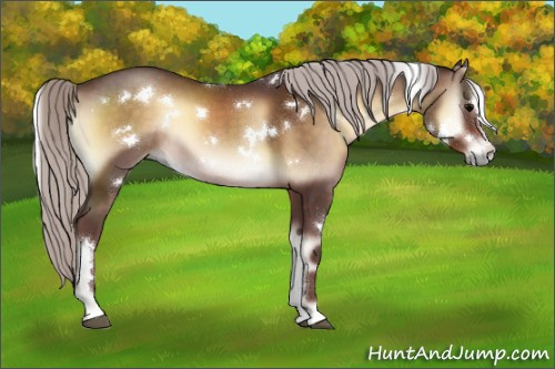 Horse Color:White Spotted Chocolate Silver Brown Onyx Sabino 