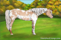 Horse Color:White Spotted Silver Sable Champagne 