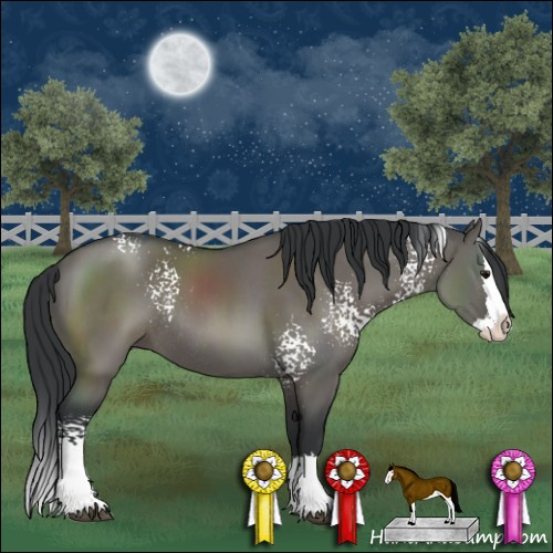 Horse Color:White Spotted Grullo Sabino Splash Rabicano
