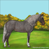 Horse Color:Silver Brown Roan Tobiano 