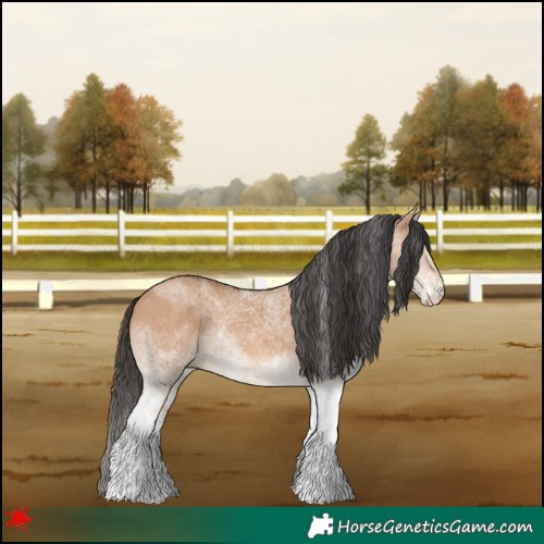 Horse Color:White Spotted Bay Dun 