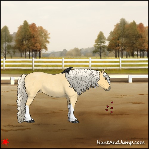 Horse Color:Palomino Roan