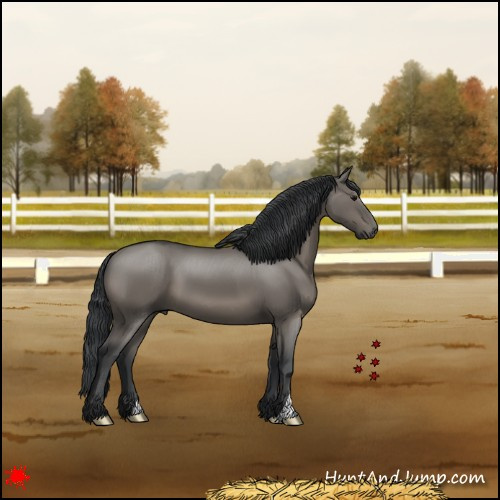 Horse Color:Grullo
