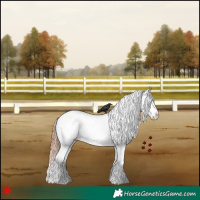 Horse Color:White Spotted Bay Dun Splash Varnish 