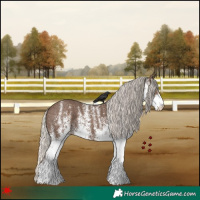Horse Color:White Spotted Silver Black 