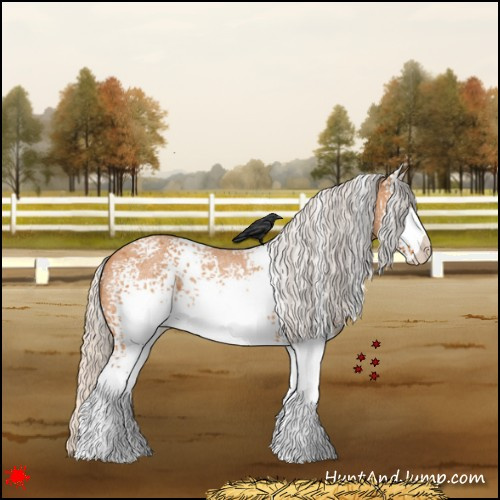 Horse Color:White Spotted Silver Bay Roan Varnish Rabicano