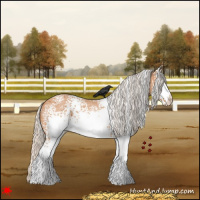 Horse Color:White Spotted Silver Bay Roan Varnish Rabicano 