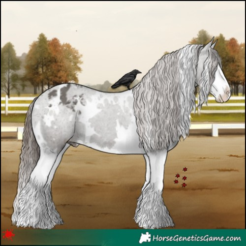 Horse Color:White Spotted Grullo Splash Varnish