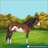 Horse Color:Brown Frame 