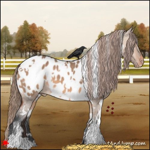 Horse Color:White Spotted Bay Dun Appaloosa