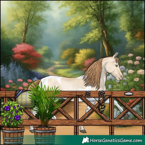 Horse Color:Smoky Grullo Pearl Tobiano Rabicano 