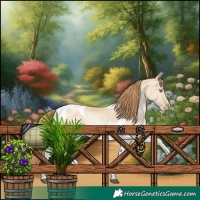 Horse Color:Smoky Grullo Pearl Tobiano Rabicano 