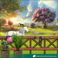 Horse Color:Perlino Splash Appaloosa 