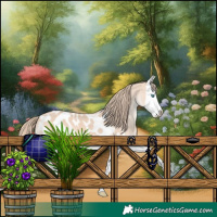 Horse Color:Perlino Splash Near Leopard 