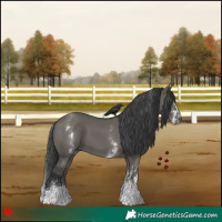 Horse Color:White Spotted Grullo