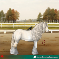 Horse Color:White Spotted Palomino Roan Dun 