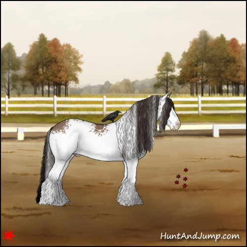 Horse Color:White Spotted Liver Red Dun