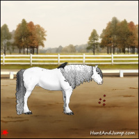 Horse Color:White Spotted Grullo 