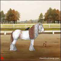 Horse Color:White Spotted Red Dun 
