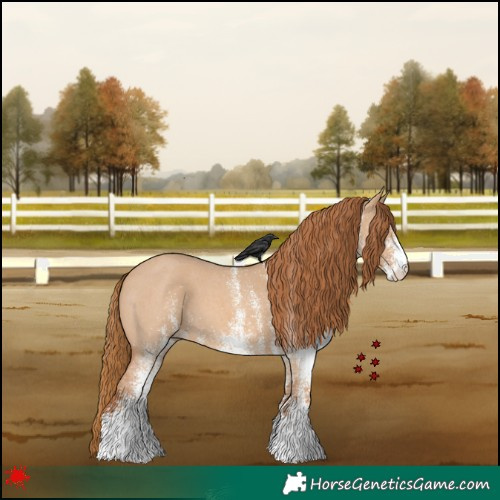 Horse Color:White Spotted Red Dun 