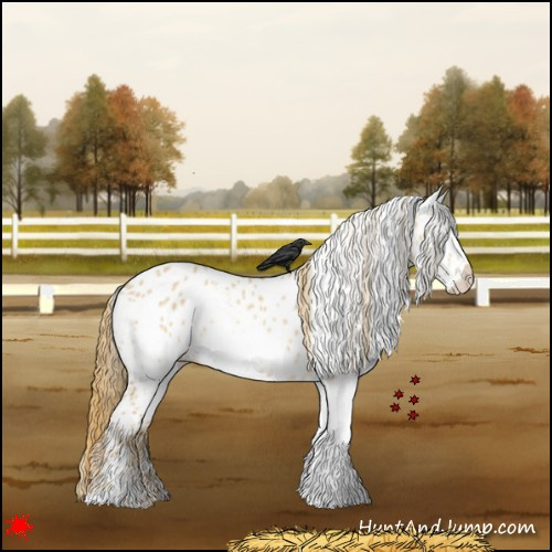 Horse Color:White Spotted Red Dun Appaloosa 
