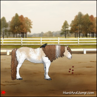 Horse Color:White Spotted Red Dun