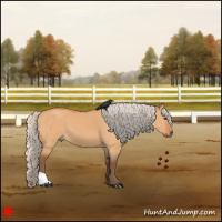 Horse Color:Silver Bay Dun