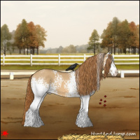 Horse Color:White Spotted Red Dun 