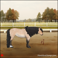 Horse Color:Bay Roan Dun 