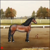 Horse Color:Brown 