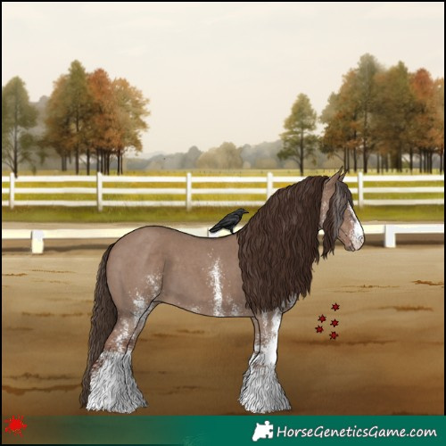 Horse Color:White Spotted Liver Red Dun 