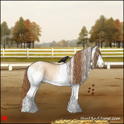Horse Color:White Spotted Bay Pearl Dun 