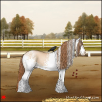 Horse Color:White Spotted Bay Pearl Dun 