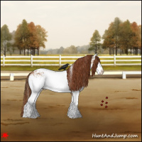 Horse Color:White Spotted Red Dun 