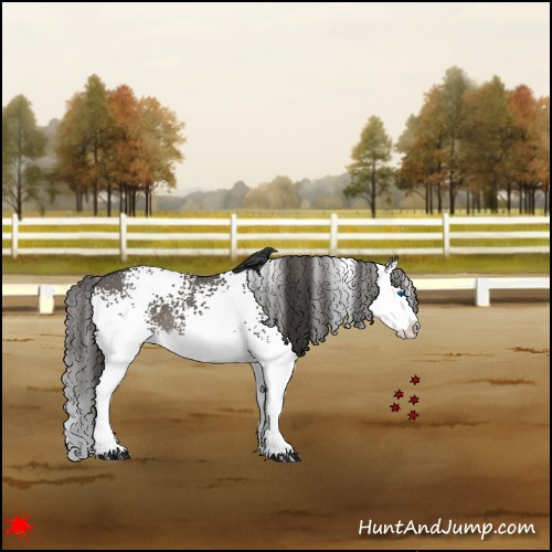 Horse Color:White Spotted Grullo Splash Varnish