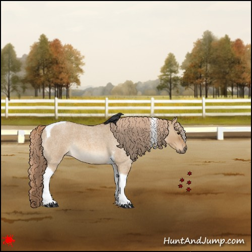 Horse Color:Red Dun Roan Tobiano