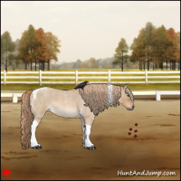 Horse Color:Red Dun Roan Tobiano