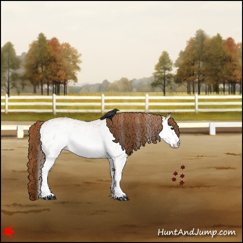 Horse Color:White Spotted Red Dun 