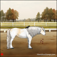 Horse Color:White Spotted Palomino Dun 