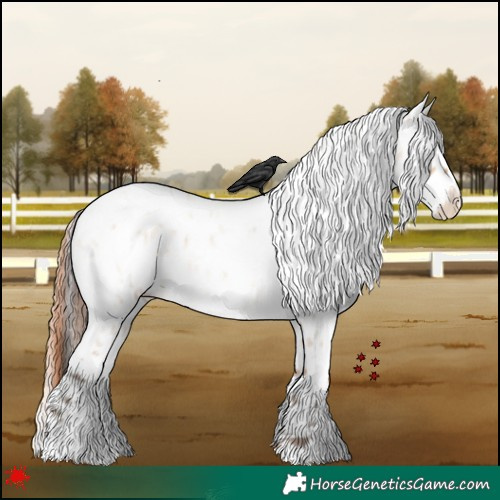 Horse Color:White Spotted Amber Champagne Roan Dun Near Leopard
