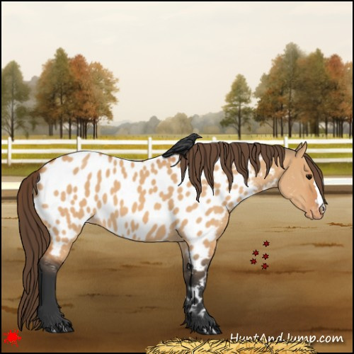 Horse Color:Bay Dun Near Leopard 