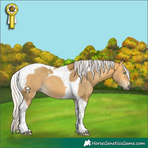 Horse Color:Silver Buckskin Tobiano 