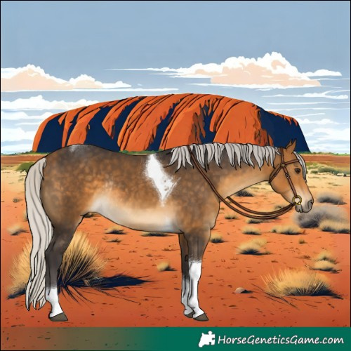 Horse Color:Silver Buckskin Tobiano Rabicano