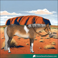 Horse Color:Silver Buckskin Tobiano Rabicano