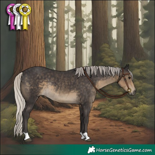 Horse Color:Silver Smoky Black Rabicano