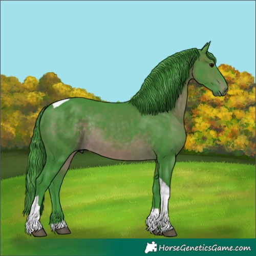 Horse Color:Watercolor White Spotted Brown Tobiano 